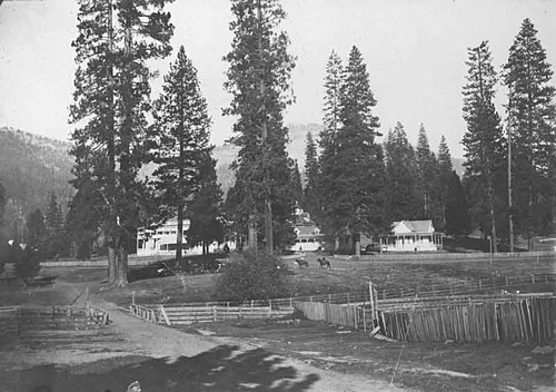 Wawona Hotel and grounds, 1890s