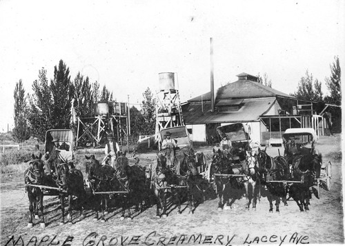 Maple Grove Creamery on Lacey Boulevard, Hanford