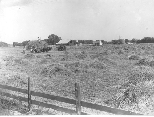 Hay Stacks and Hay Wagon