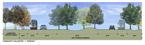 Community Collector - Parkway