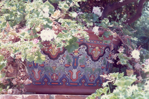 Decorative potted plant at the Adamson House, 1974