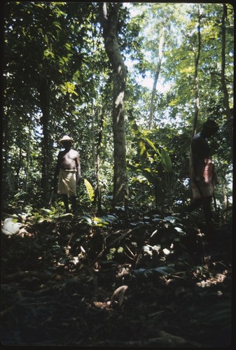 Man in forest