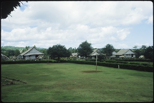 Houses, lawns, and hedges