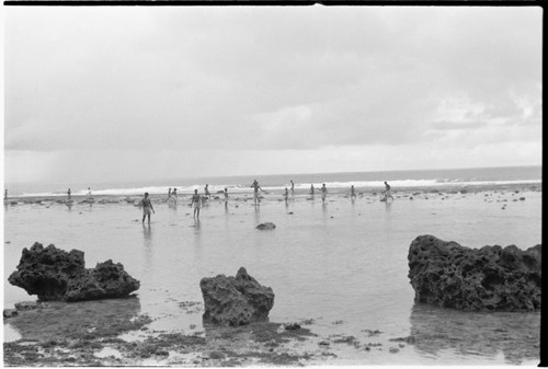 People walking on reef