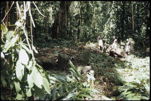 Men in forest