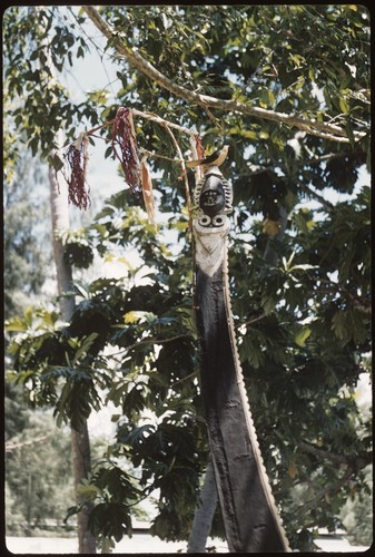 Ornamented canoe point