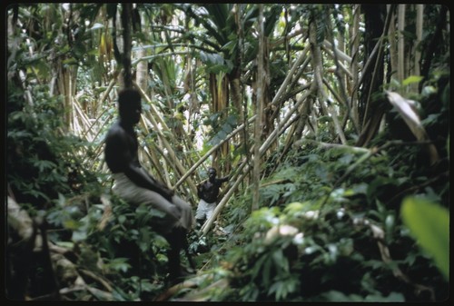 Men in forest