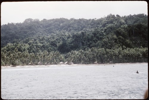 Coastline landscape