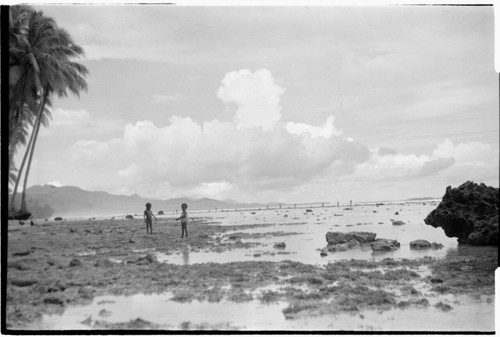 People walking on reef