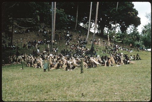 Dancers with shields; large official gathering