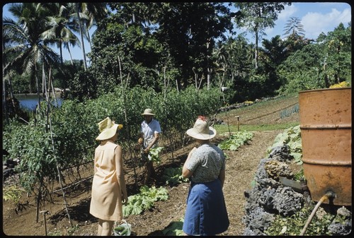 Anne Scheffler and others in a garden