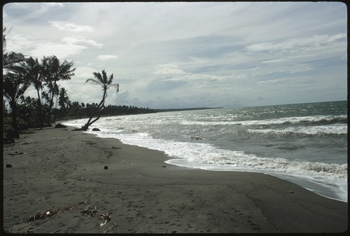 Beach landscape