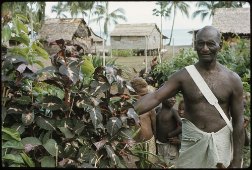 Man with branches of bush