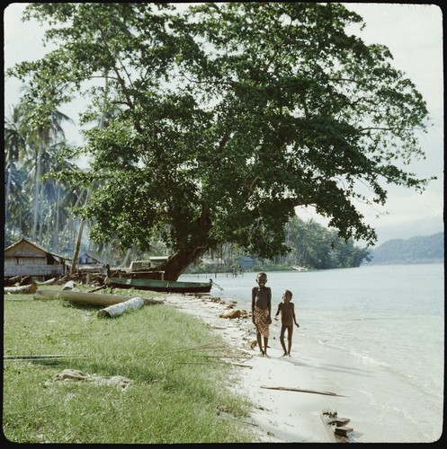 Children on a beach