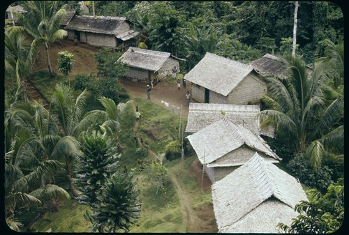 Houses in a village