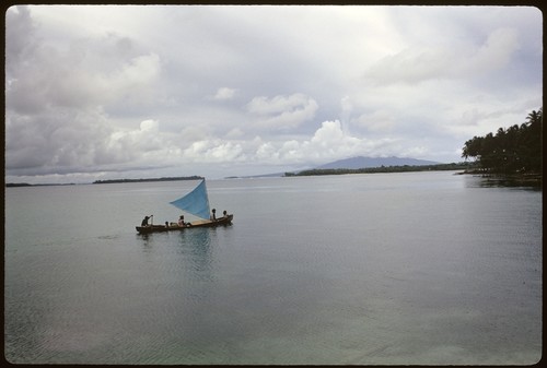 People canoeing