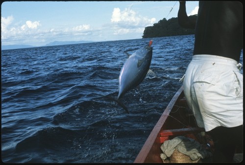 Man fishing