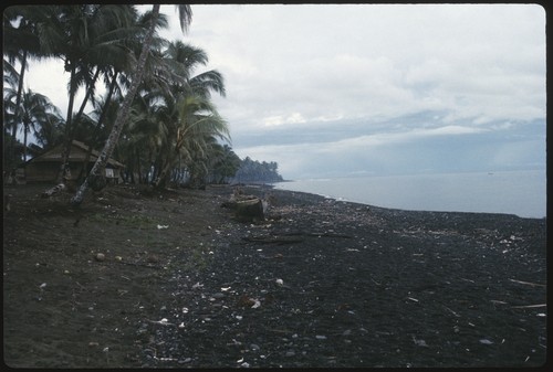 Beach scene