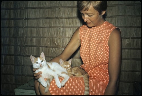 Anne Scheffler and cats