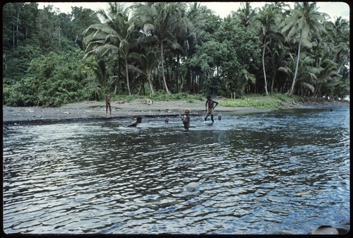 People swimming at the shore