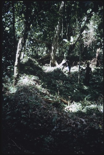 Men in forest