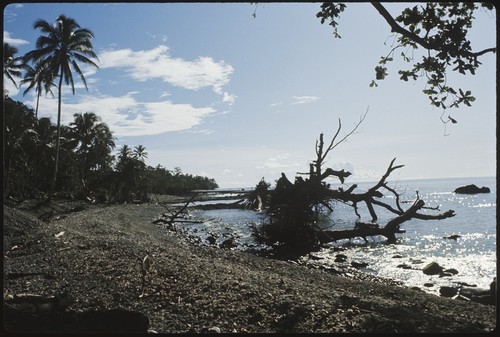 Beach landscape