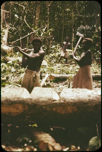 Men chopping trees