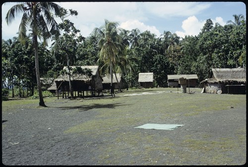 Houses in a village