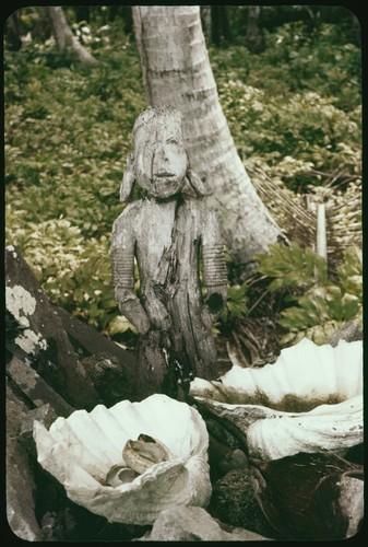 Sculpture of human figure, and large clam shells with rings