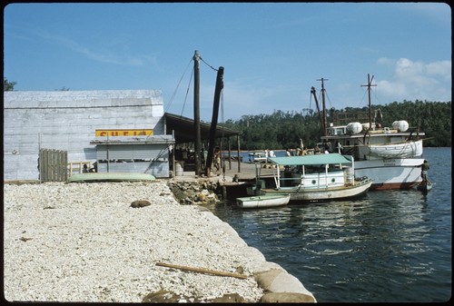 Docked boats