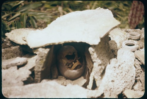 Shrine with skull and ring offerings