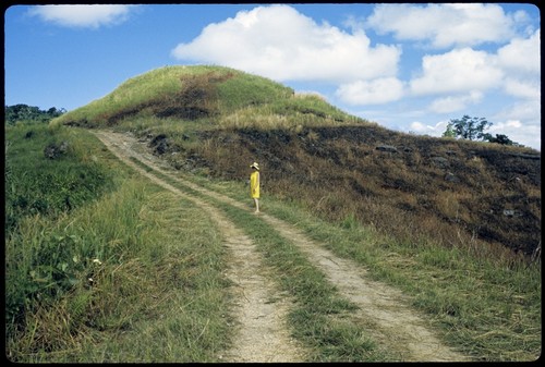 Anne Scheffler standing in field landscape