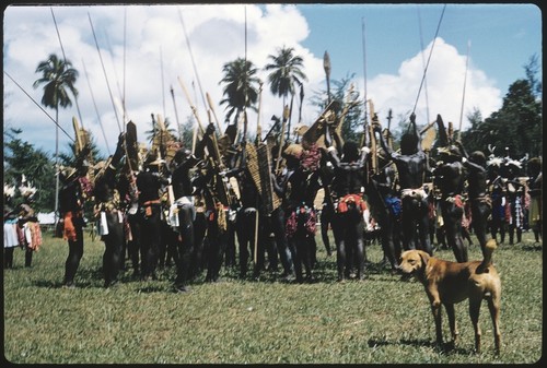 Dancers with spears and shields