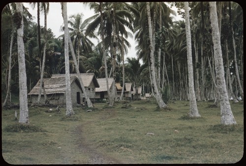 Houses, village