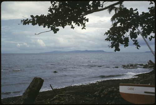 Beach scene