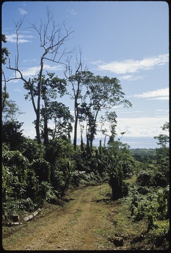 Landscape roadway