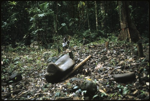 Man in forest with petroglyph carvings