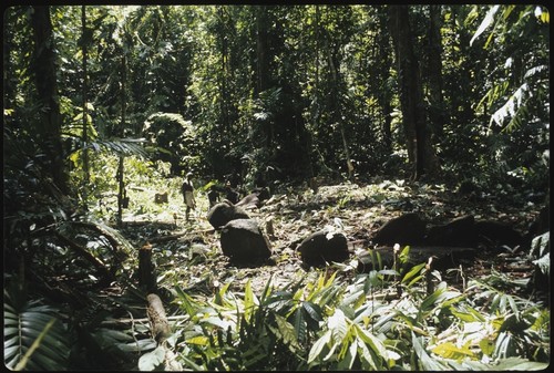 Men in forest