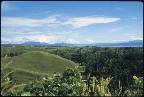 Field landscape