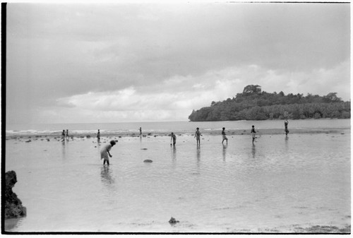 People walking on reef