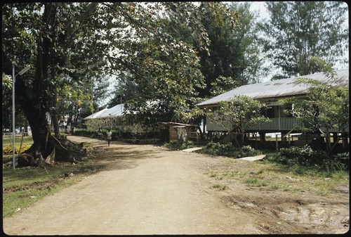 Houses on a dirt road