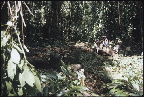 Men making petroglyph carvings