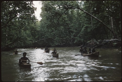 Canoeing on a river