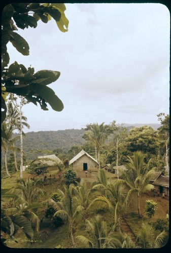 Houses in a village