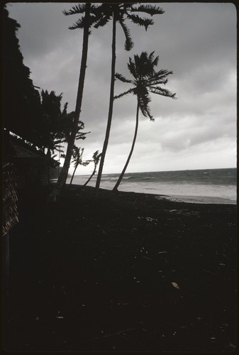 Landscape beach scene