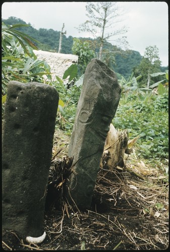 Grave carvings