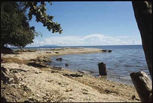 Beach landscape