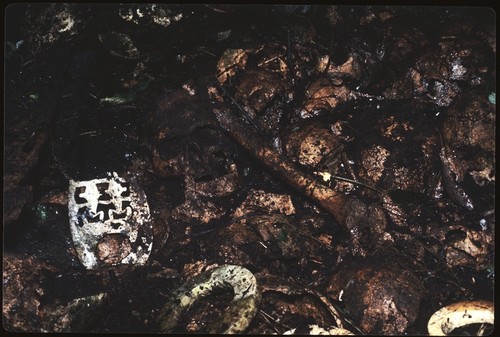 Shell valuables in skull shrine