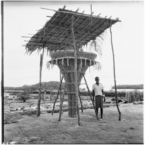 Kelo kangge, container made of lath and leaf , full of taro and almond pudding for a Christmas feast