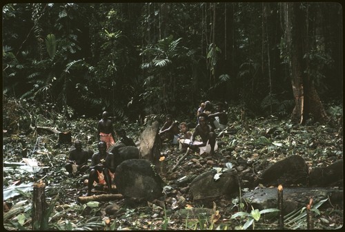 Men in forest